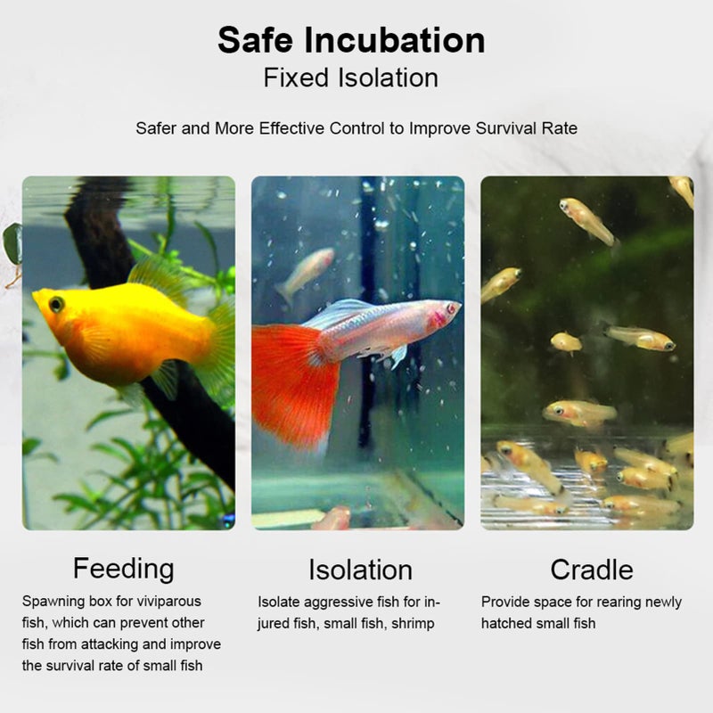 Tnfeeon Fish Separation Breeder Box, Acrylic Fish Breeding Isolation Box Aquarium Hatchery Incubator Holder(C-30x10x10cm) - Image 3